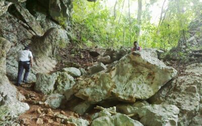 Explorando la Selva Chiapaneca: Descubre la Magia a Través de los Paquetes Turísticos
